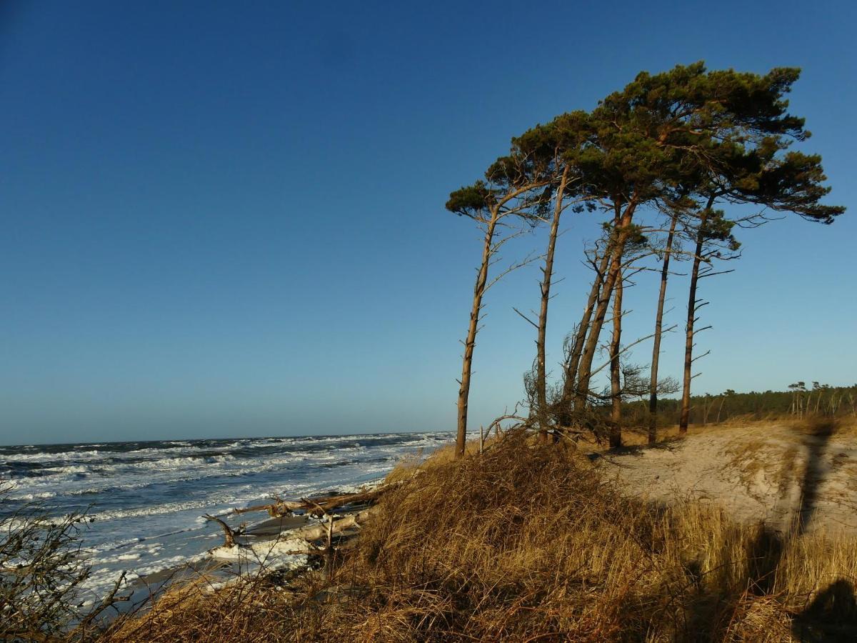 Ferienwohnungen Jagdhaus 6 Wieck Buitenkant foto